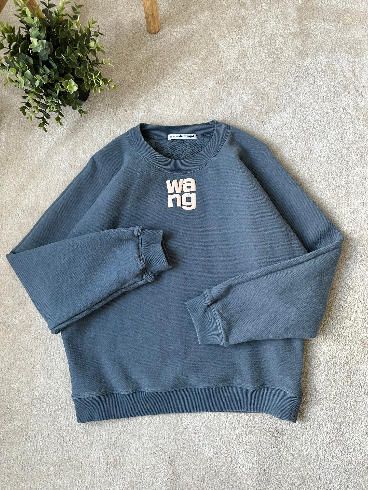 Alexander wang sweats