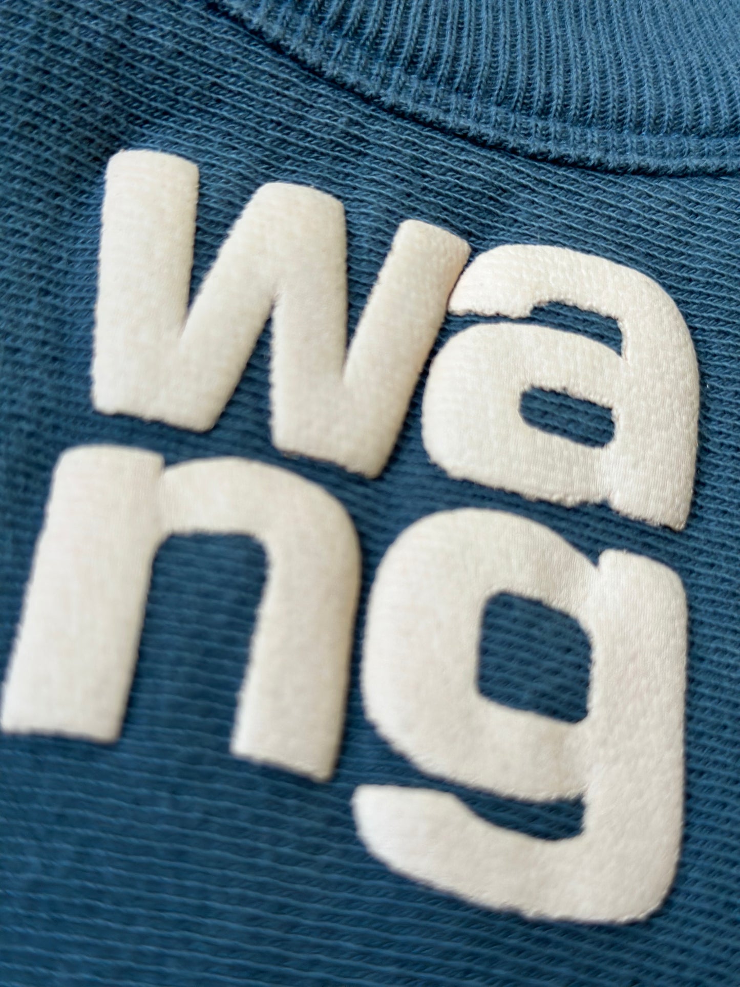 Alexander wang sweats