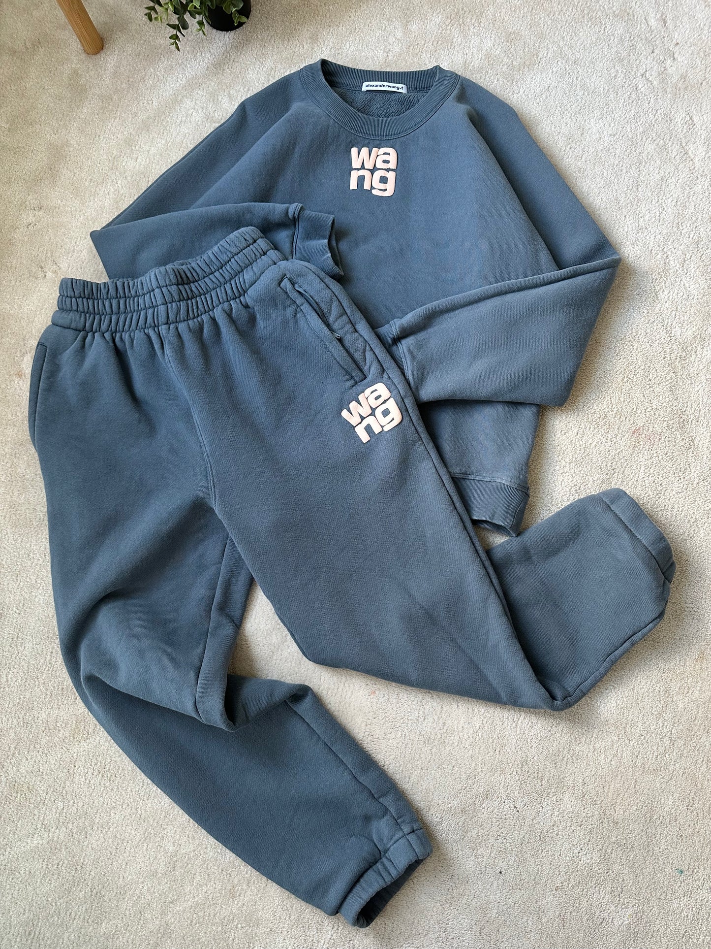 Alexander wang sweats
