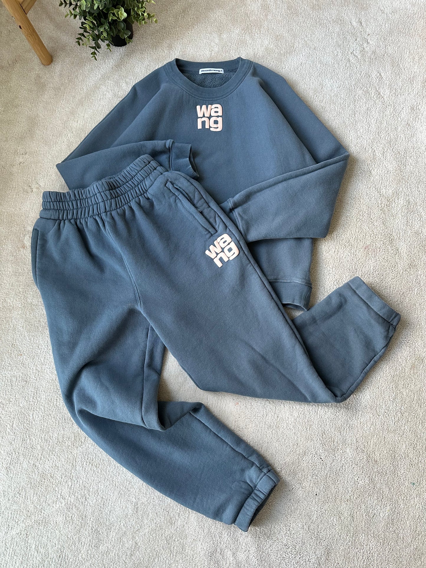 Alexander wang sweats
