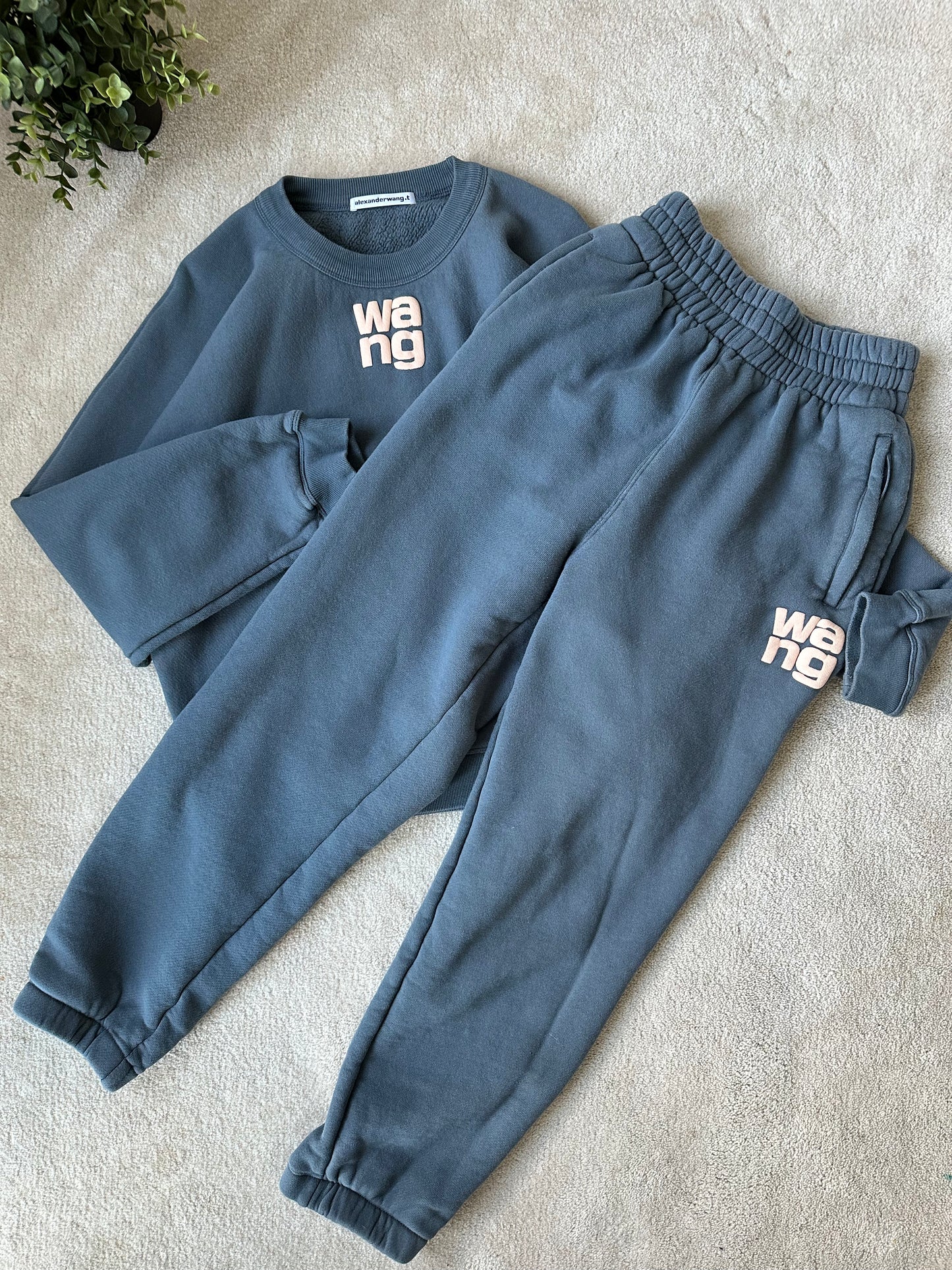 Alexander wang sweats