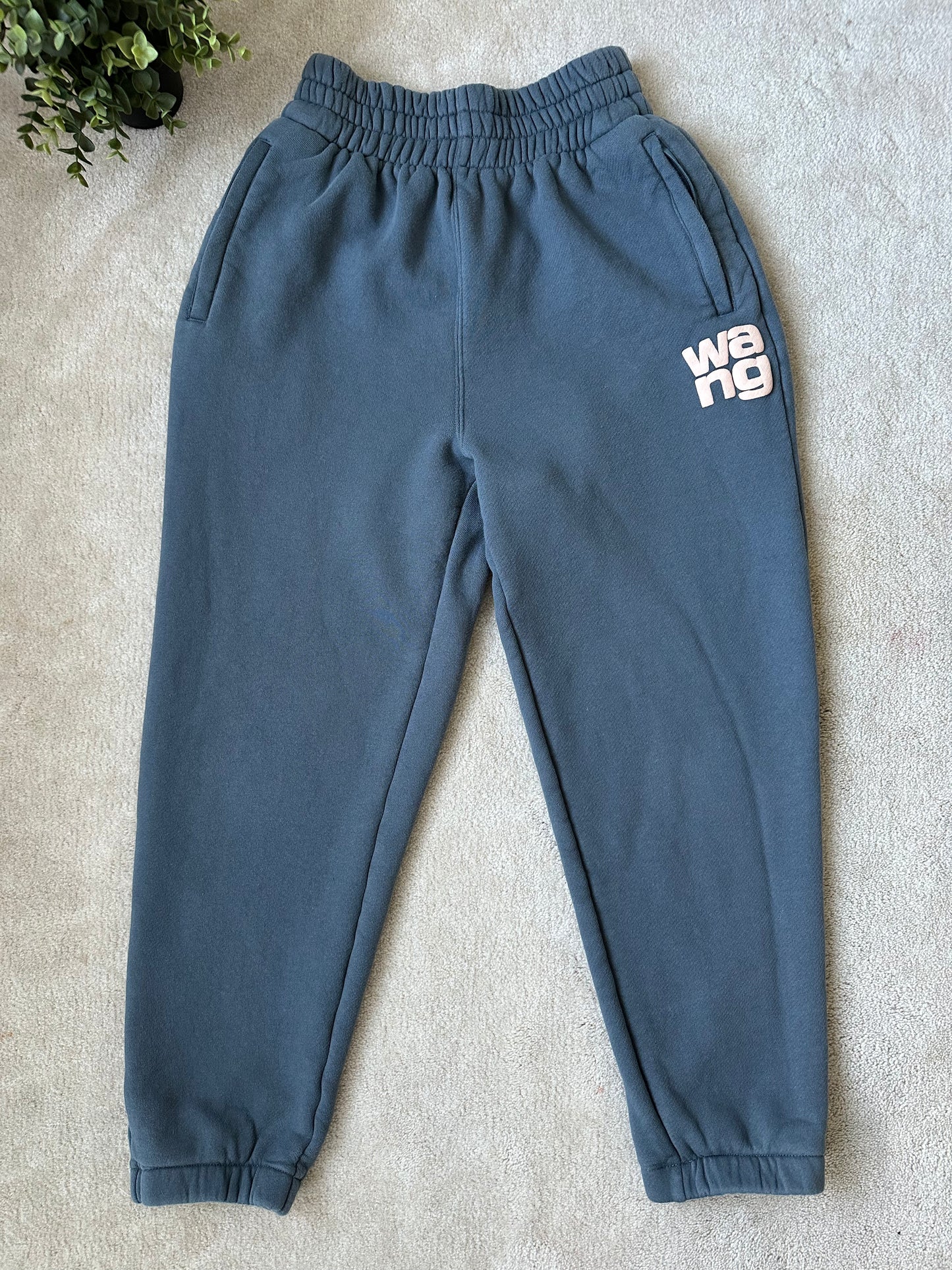 Alexander wang sweats