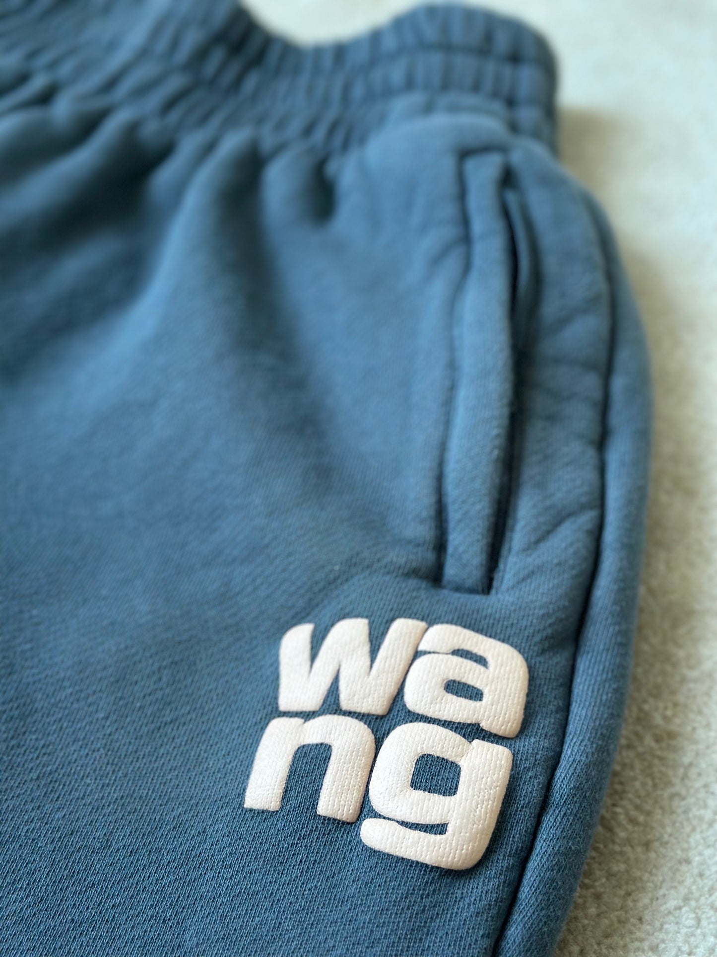 Alexander wang sweats