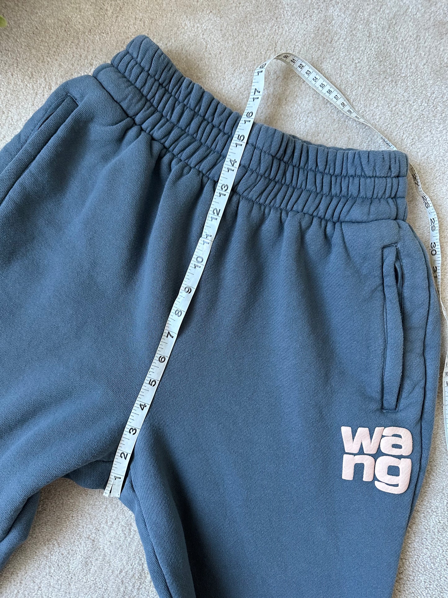 Alexander wang sweats