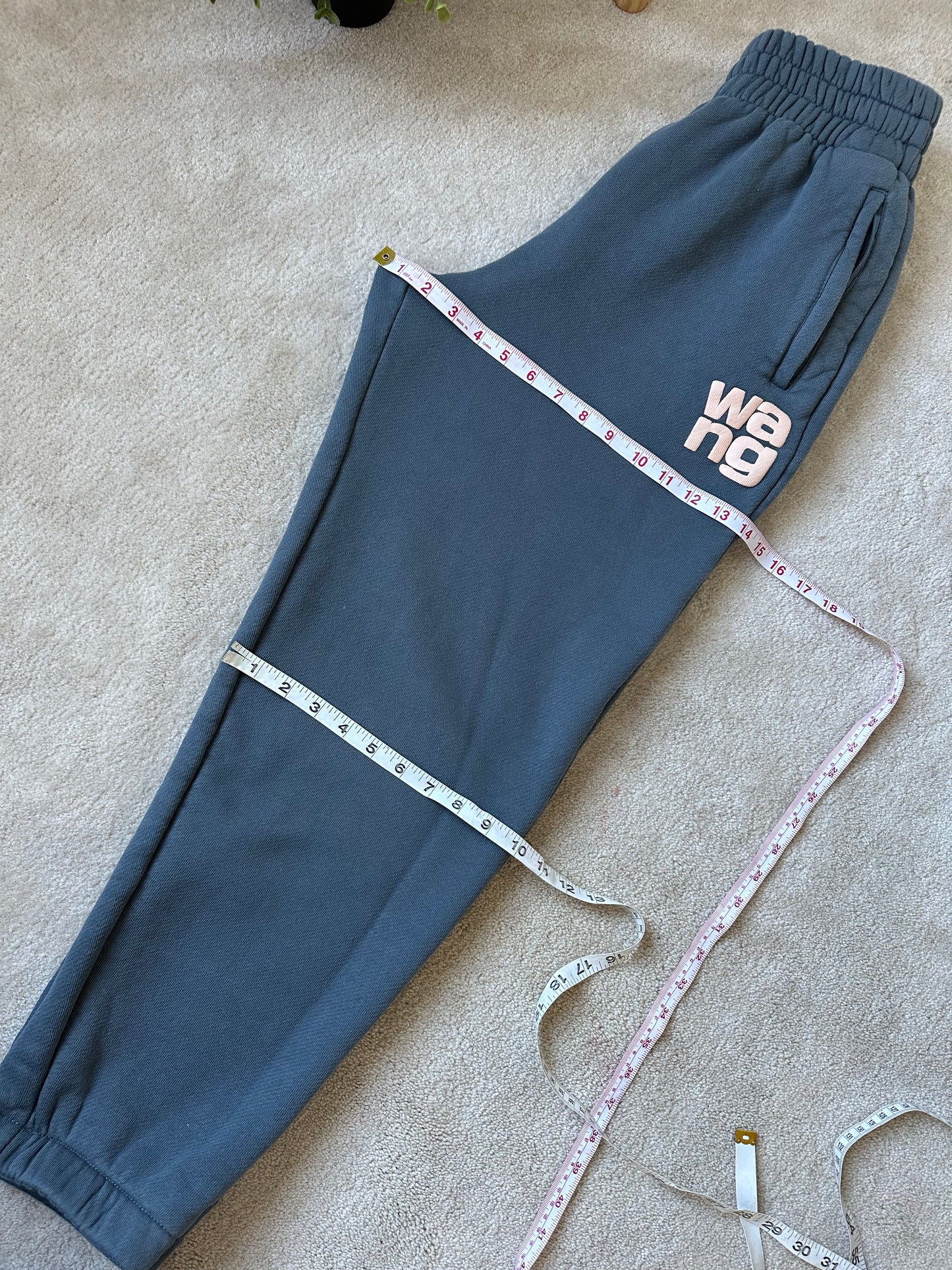 Alexander wang sweats