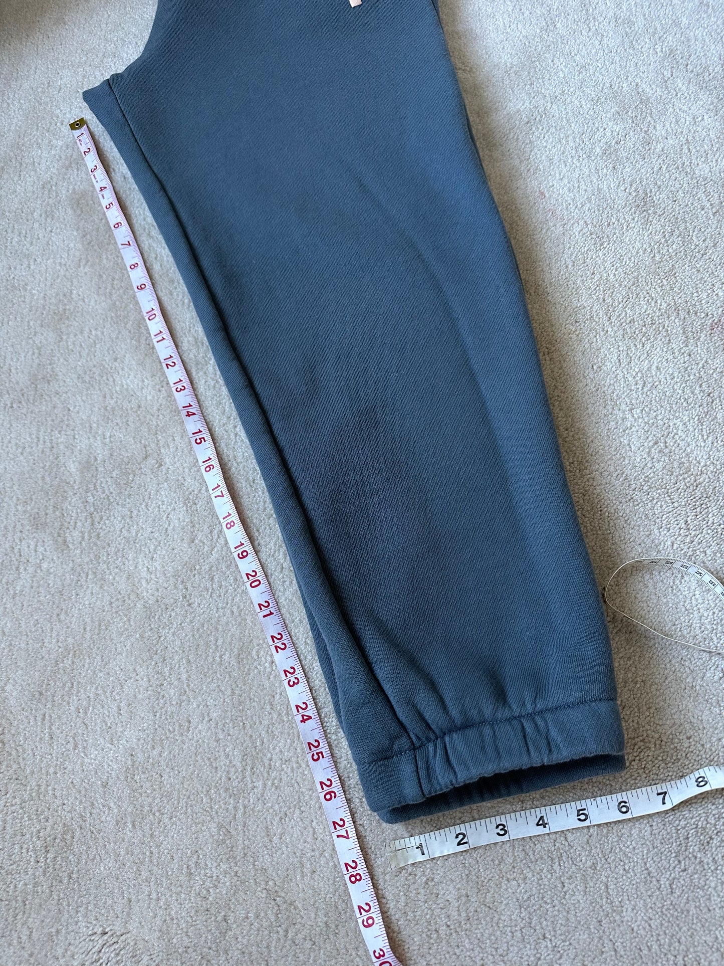 Alexander wang sweats